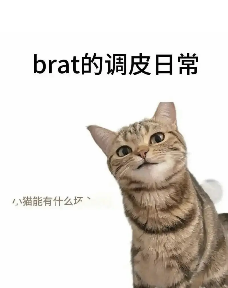 西檬之家-DS关系是什么？字母圈新人入圈指南