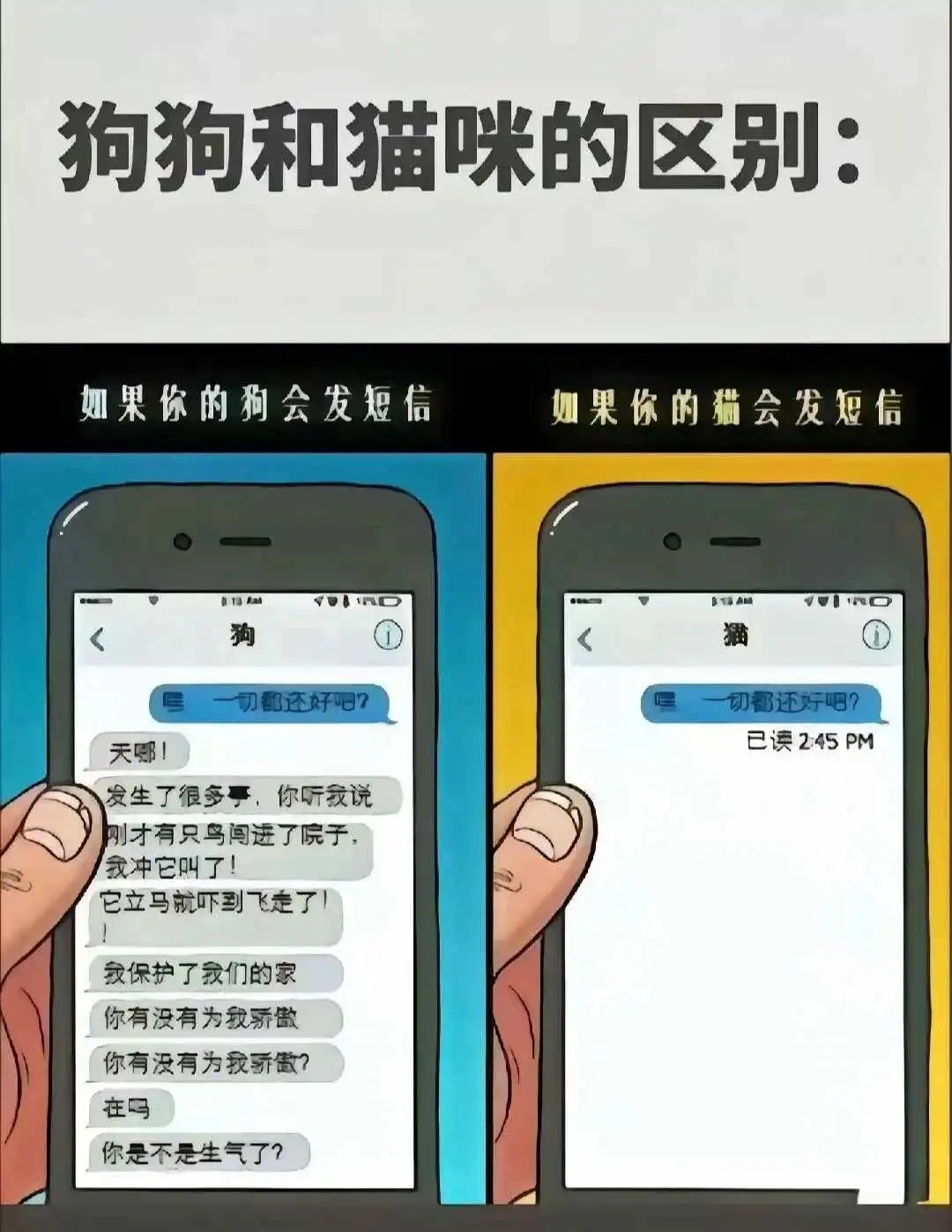 【西檬之家】新人必看：字母圈SP实践指南