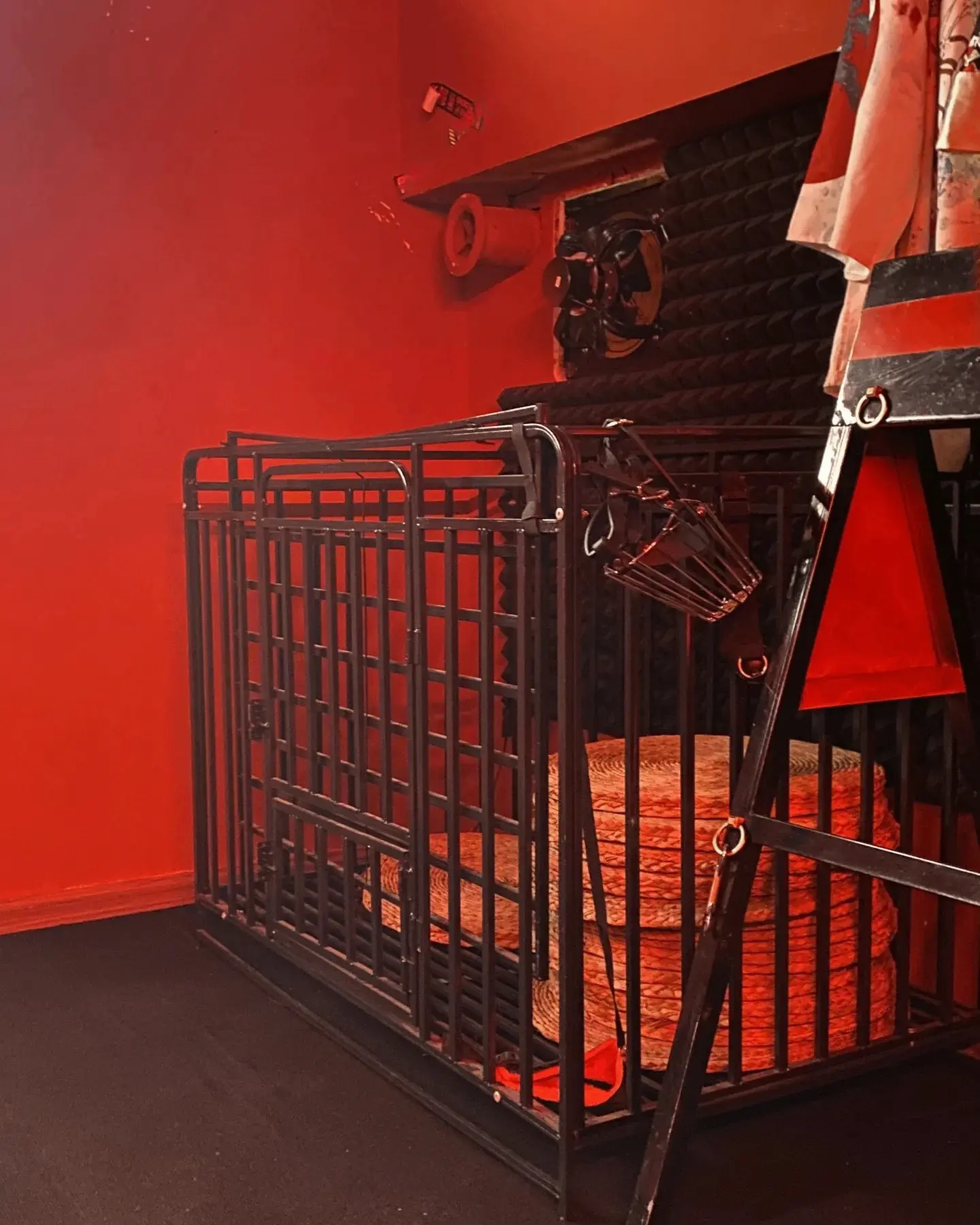 西檬之家-BDSM字母圈DT是什么？你的情欲语言指南