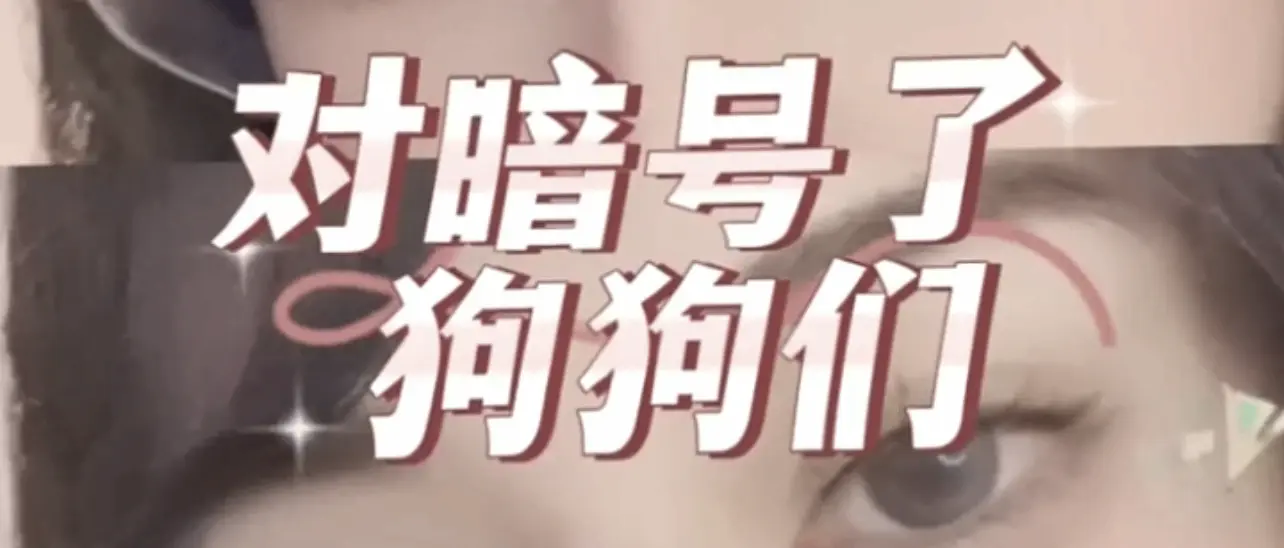 西檬之家-DS关系是什么？字母圈新人入门指南