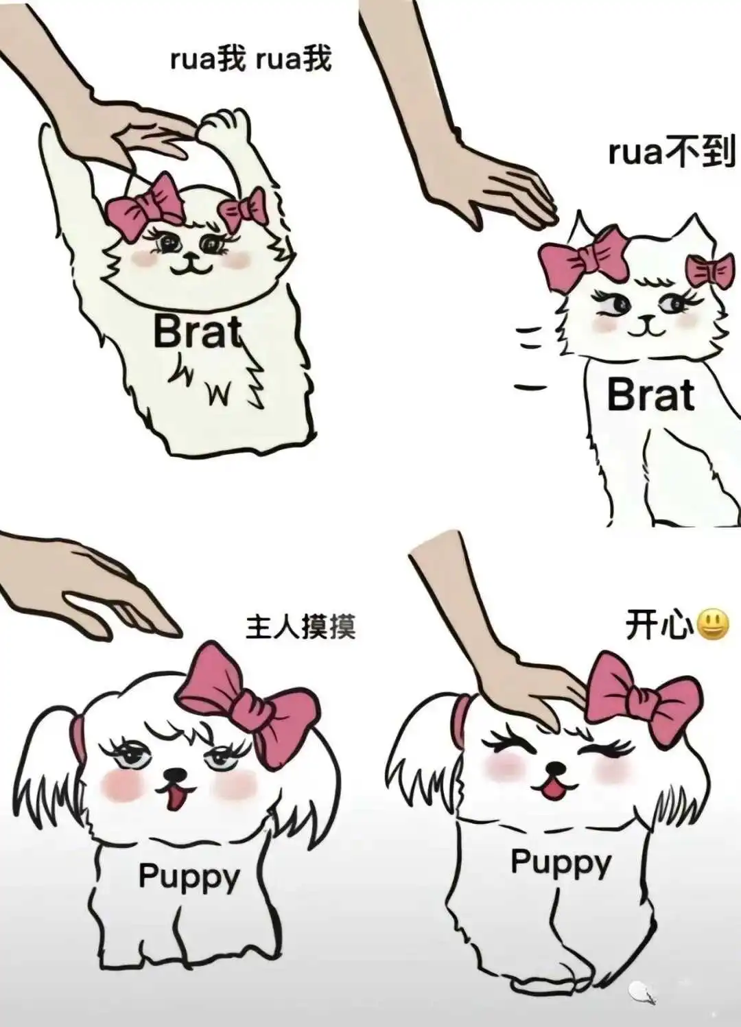 【西檬之家】PE是什么？BDSM新手必知的权力交换指南