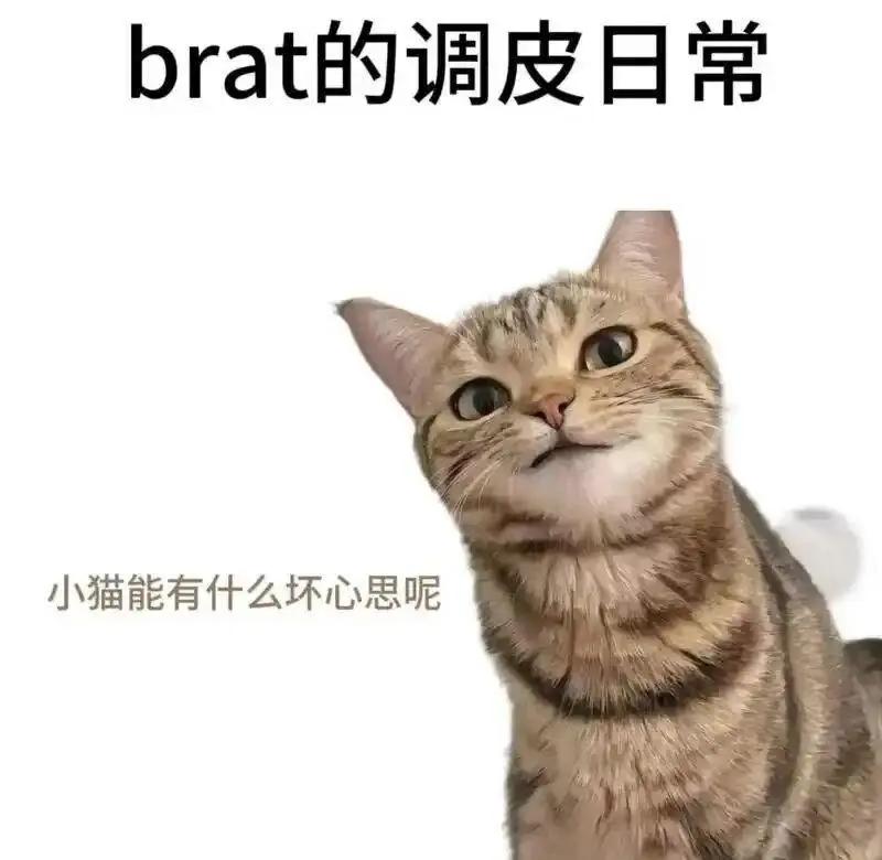 西檬之家-管教是什么？BDSM字母圈新人必读指南