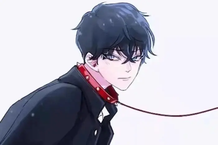 S：实用指南