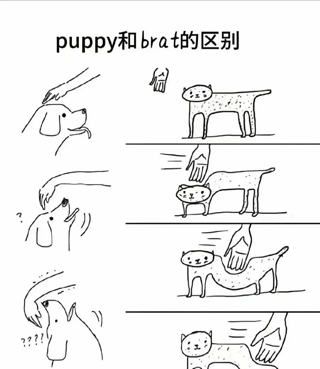 【西檬之家】圣水是什么？字母圈新人权威术语指南